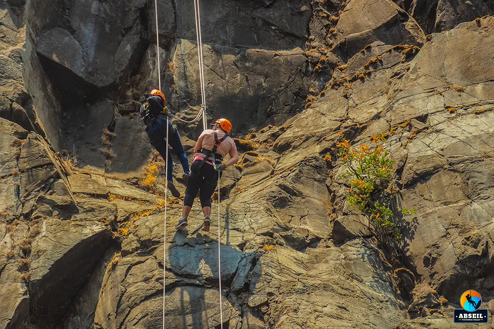 abseil-experience-2
